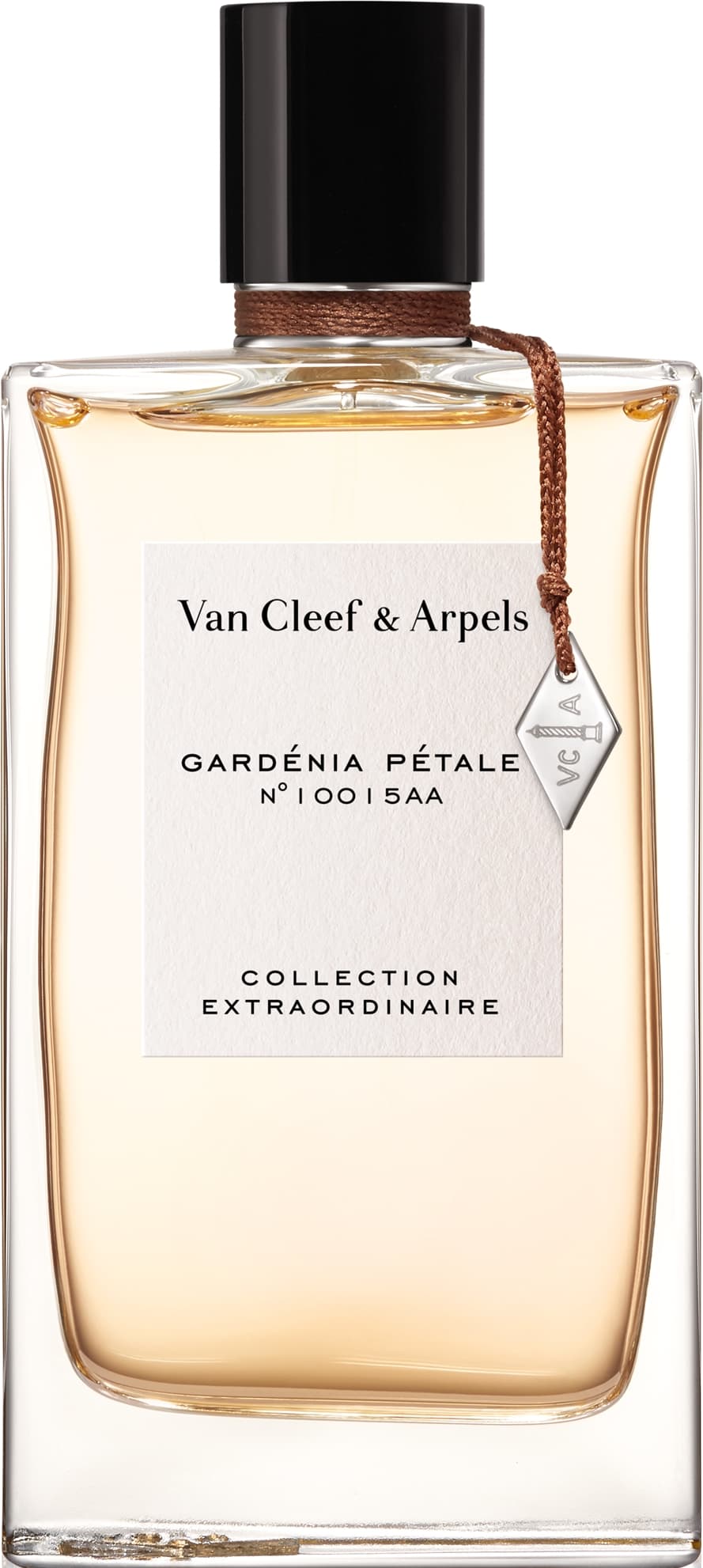 Gardenia Pétale