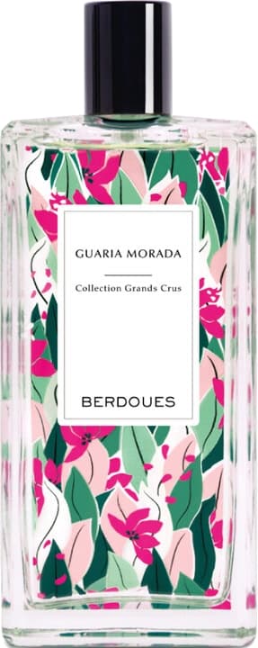 Guaria Morada