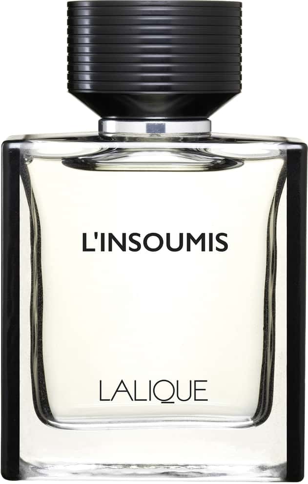 L'Insoumis