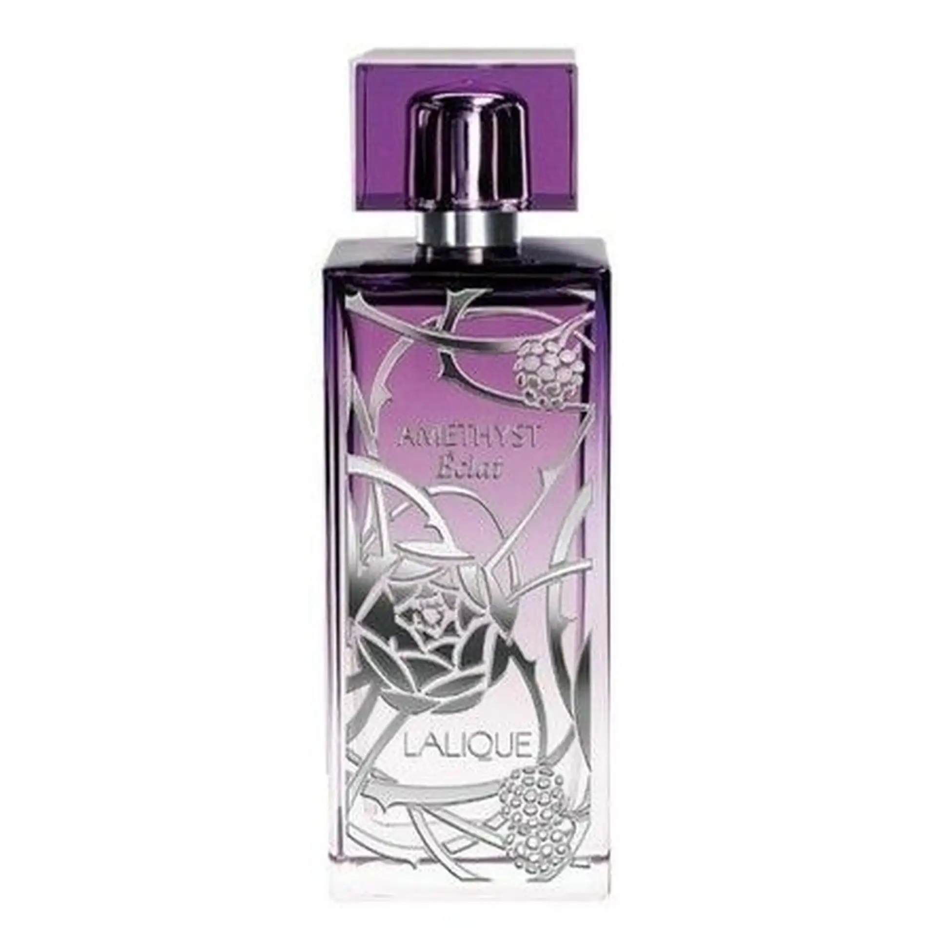 Vaporisateur 100 ml