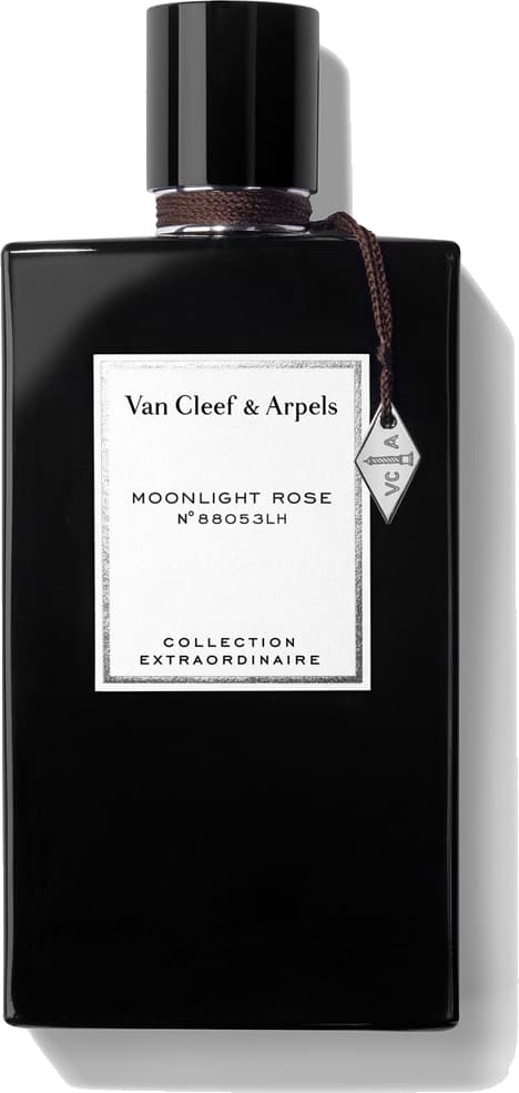 Moonlight Rose
