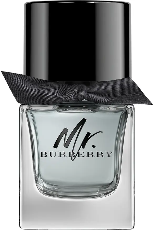 Burberry Mr. Burberry