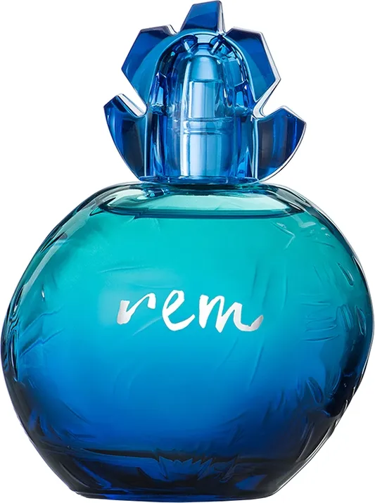 Reminiscence Rem