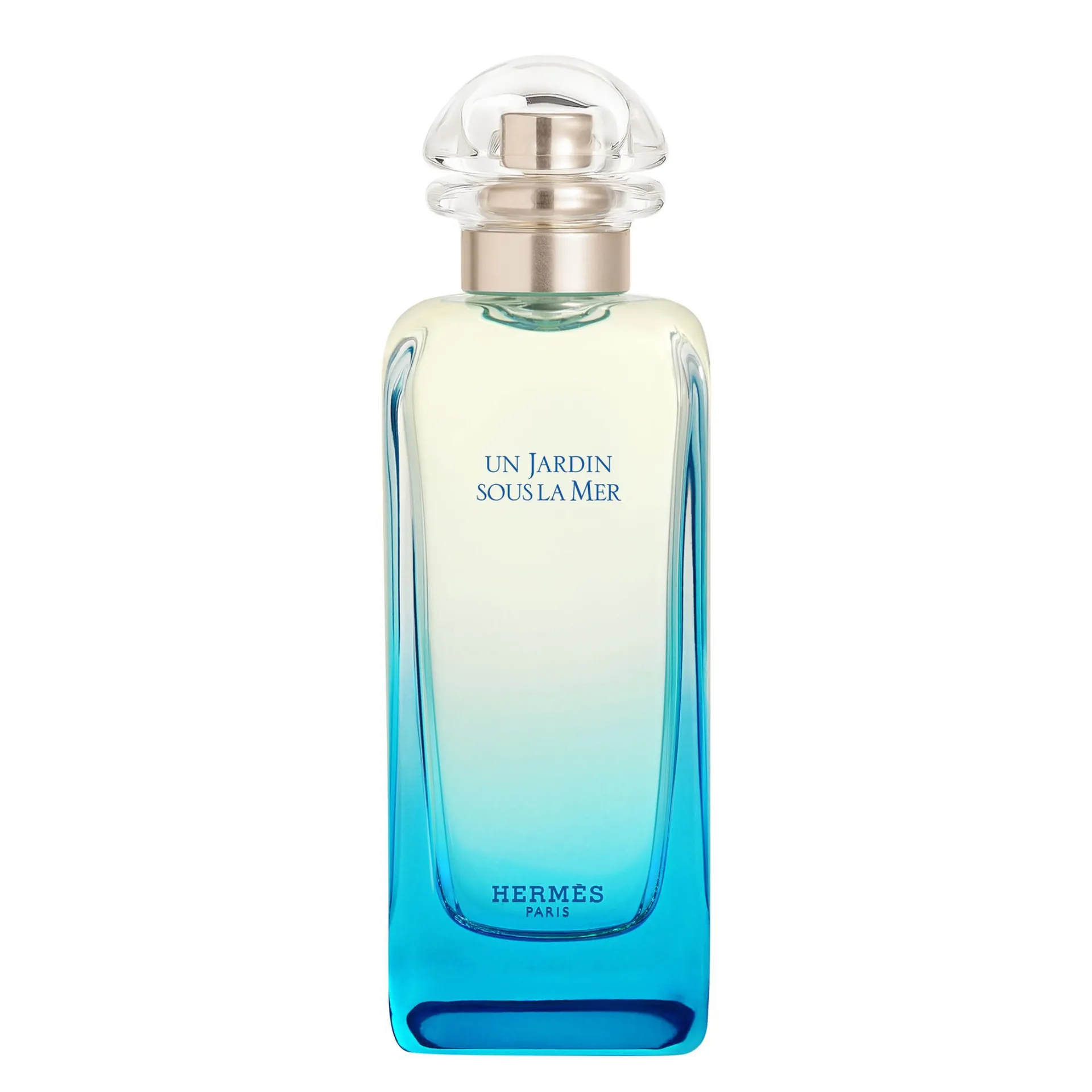 HERMÈS Un Jardin Sous la Mer