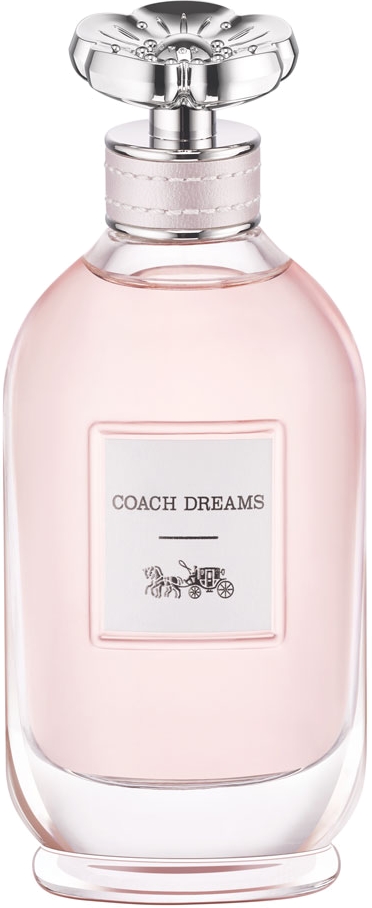 Coach Dreams Coach