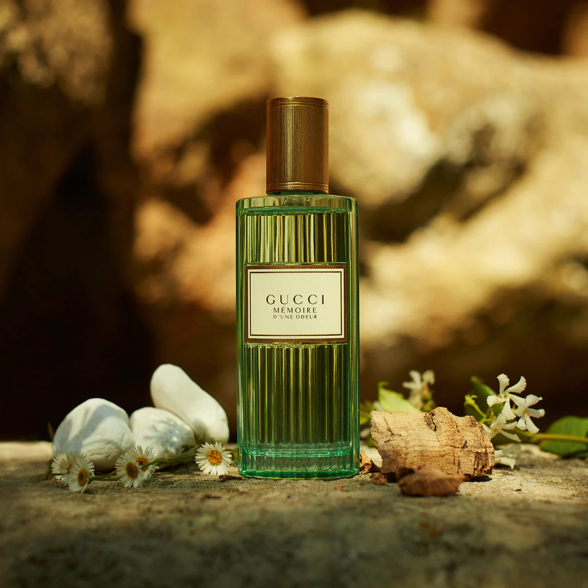 Gucci Mémoire d'une Odeur – Eau de Parfum Universal | Tendance Parfums