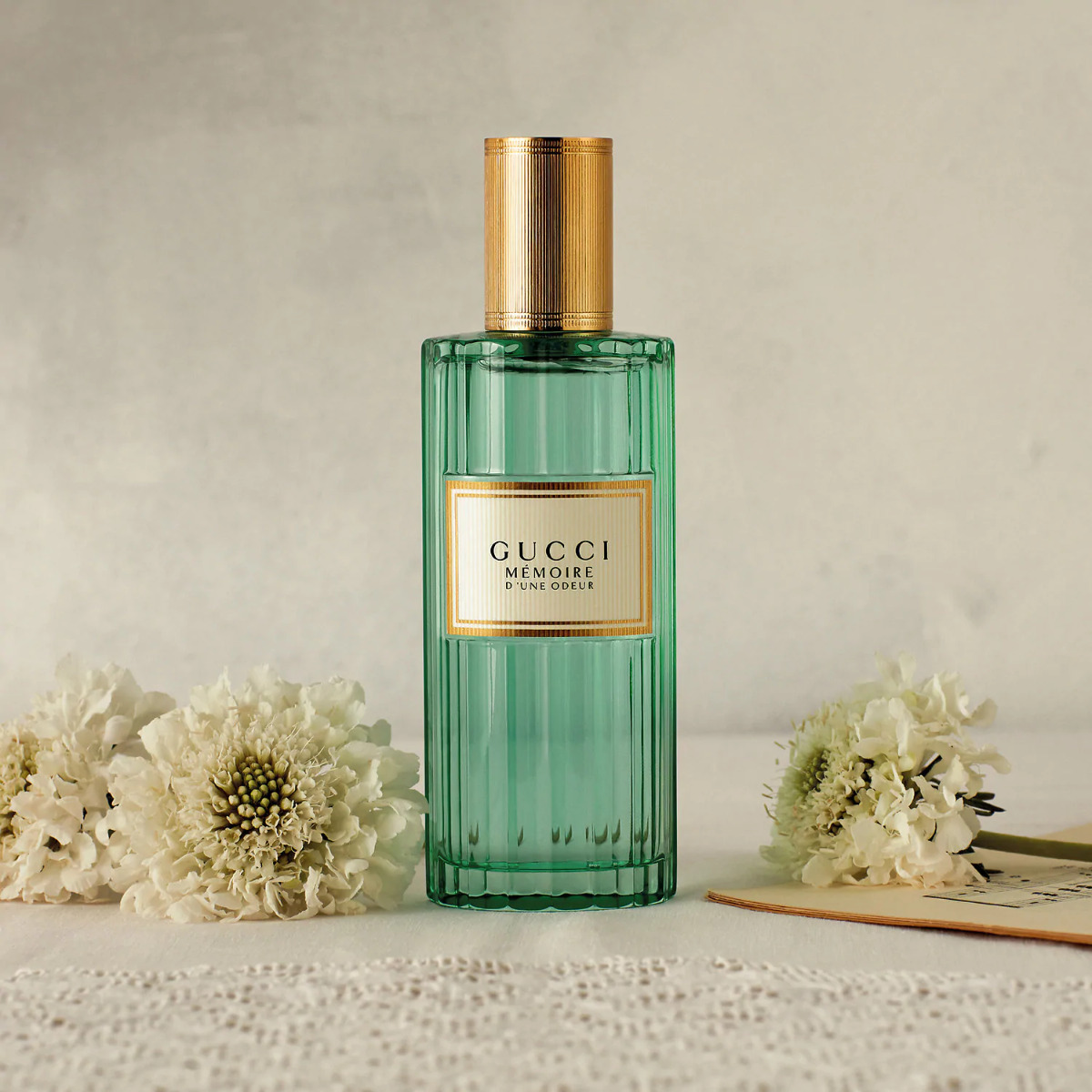 Gucci Mémoire d'une Odeur – Eau de Parfum Universal | Tendance Parfums