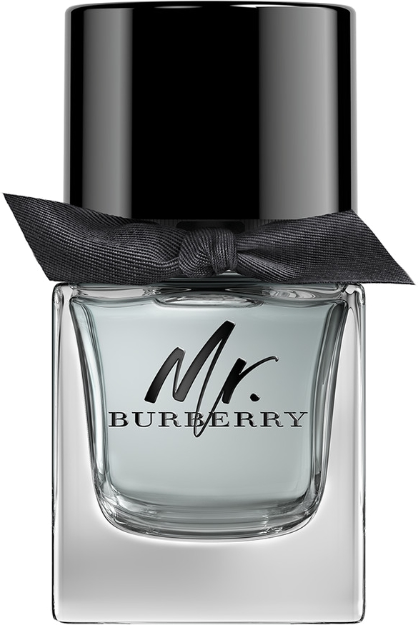 Mr. Burberry Burberry