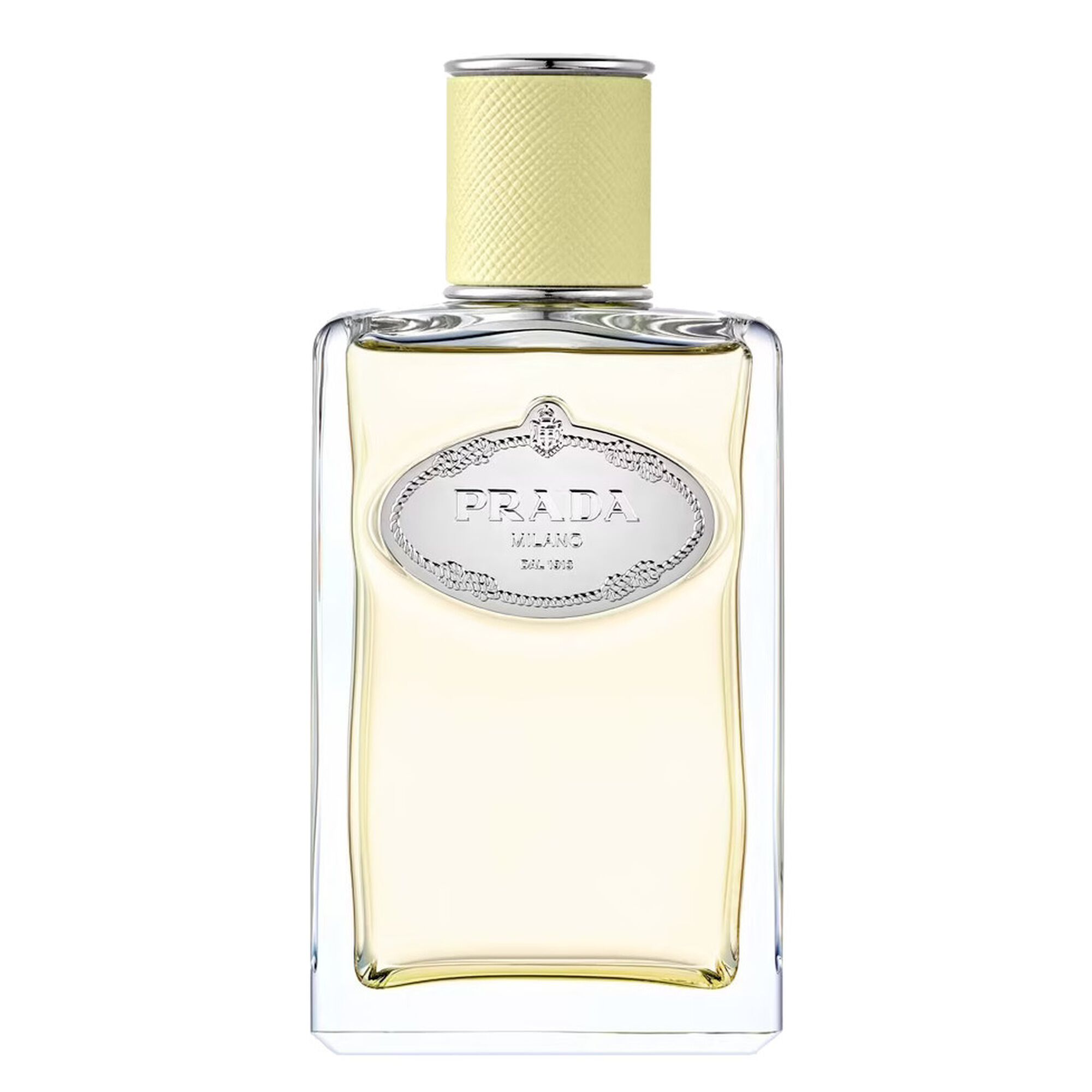 Infusion de Gingembre Prada