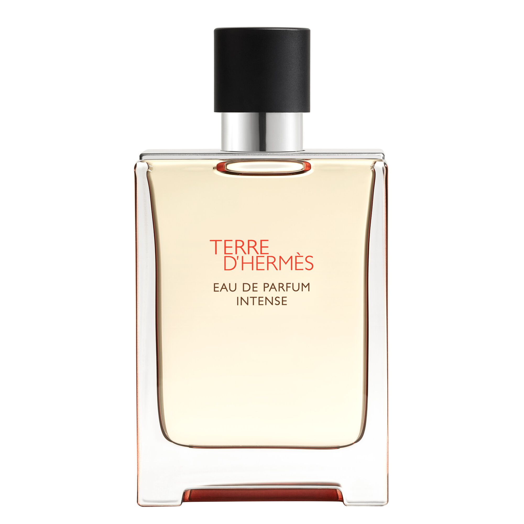 Terre d'Hermès HERMÈS