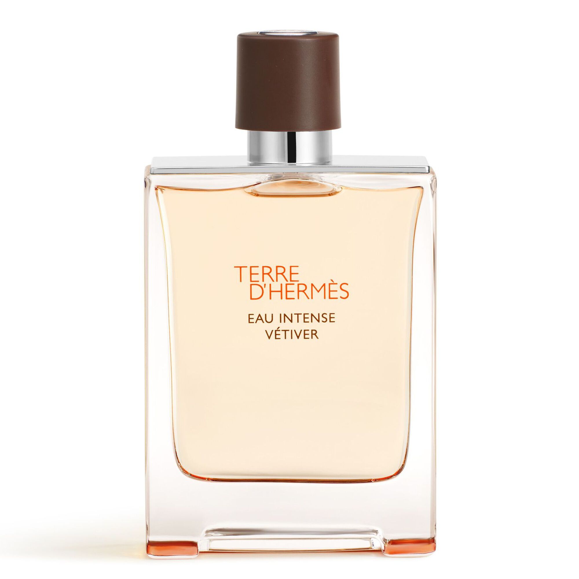 TERRE D'HERMÈS Eau Intense Vétiver 100ml Terre d'Hermès Eau Intense Vétiver | Hermès | Tendance Parfums
