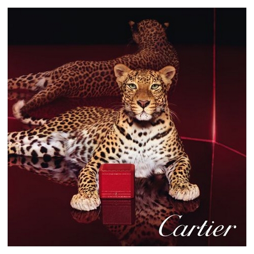 De la bijouterie au parfum avec Cartier