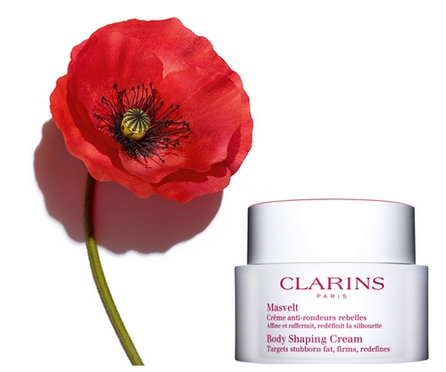 Clarins Nouvelle Crème Masvelt